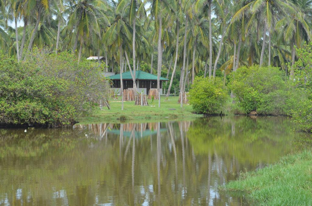 Aqua Front Yala Resort Kirinda  Eksteriør bilde